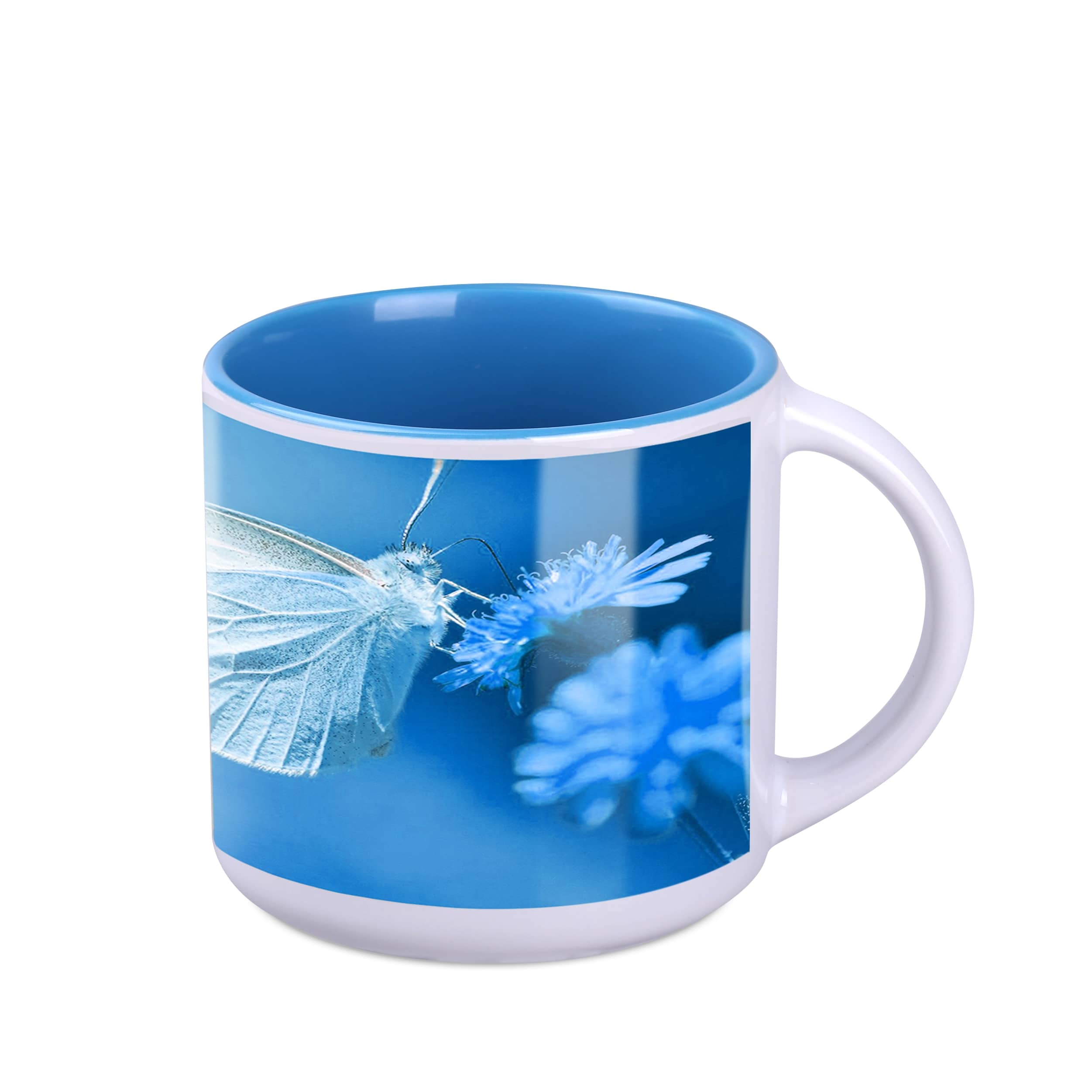 blanc / bleu clair